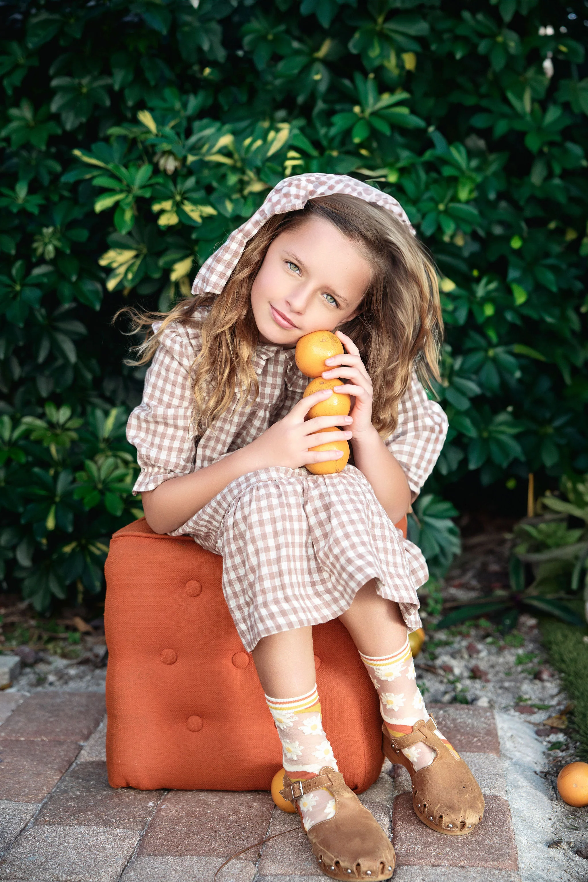 The Gingham Dressy Collection - Image 5
